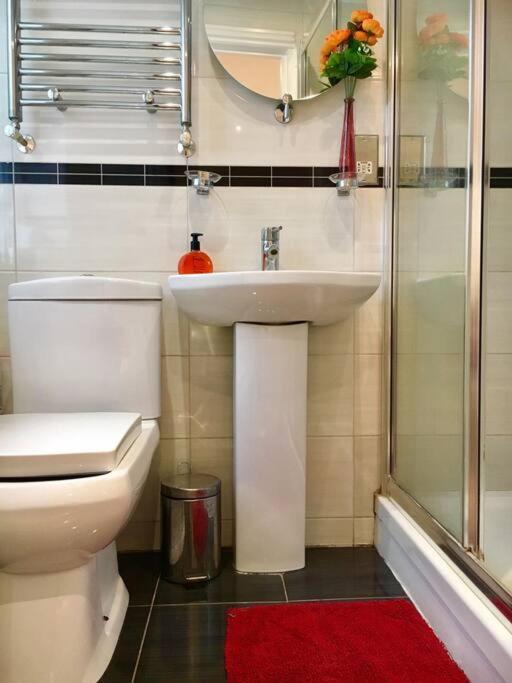 One Bedroom Flat In Central Лондон Экстерьер фото